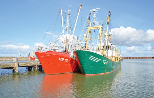 Domy wakacyjne - Havneby , Dania - R10030 906