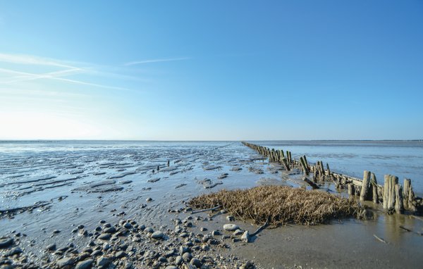 Domy wakacyjne - Havneby , Dania - R10030 908