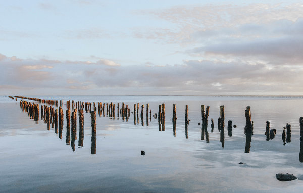 Feriehuse - Havneby , Danmark - R10040 902