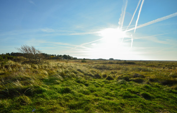 Semesterhus - Bolilmark , Danmark - R10046 905