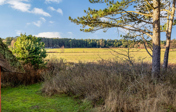 Vakantiehuis - Vesterhede , Denemarken - R10051 202