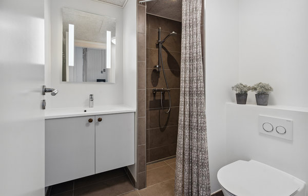 Ferienhaus - Kongsmark , Dänemark - R10062 701