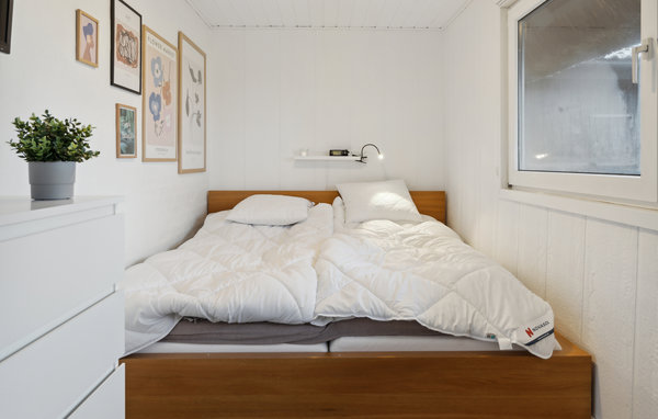 Semesterhus - Kongsmark , Danmark - R10074 601