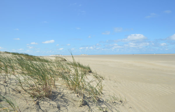 Semesterhus - Kongsmark , Danmark - R10137 902