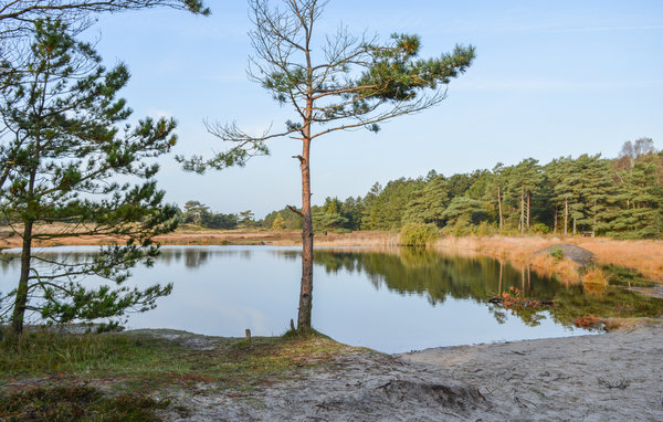 Holiday Home - Kongsmark , Denmark - R10161 902