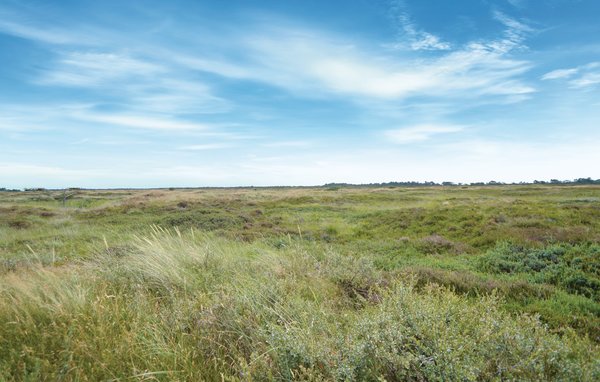 Semesterhus - Kongsmark , Danmark - R10346 903