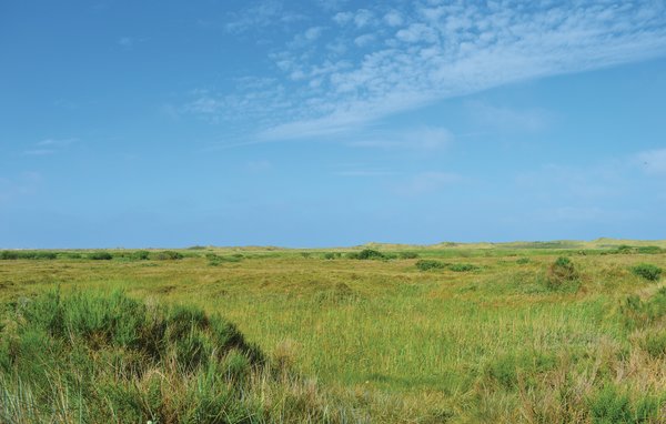 Semesterhus - Sønderstrand , Danmark - R10525 905