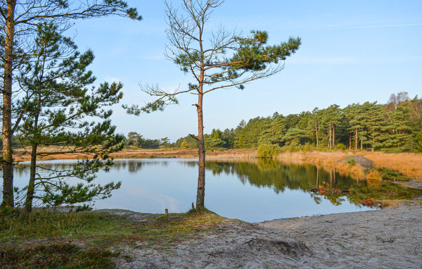 Semesterhus - Kongsmark , Danmark - R10542 903