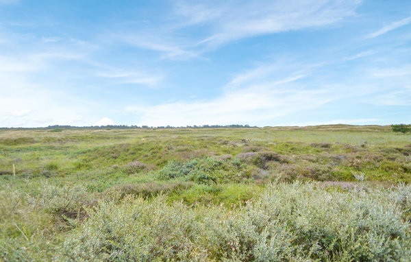 Holiday Home - Kongsmark , Denmark - R10620 905