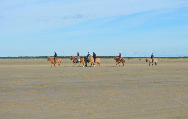 Holiday Home - Sønderstrand , Denmark - R10702 902