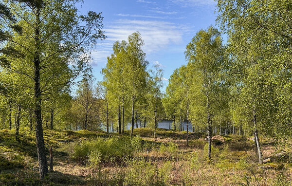 Semesterhus - Fegen , Sverige - S02509 2