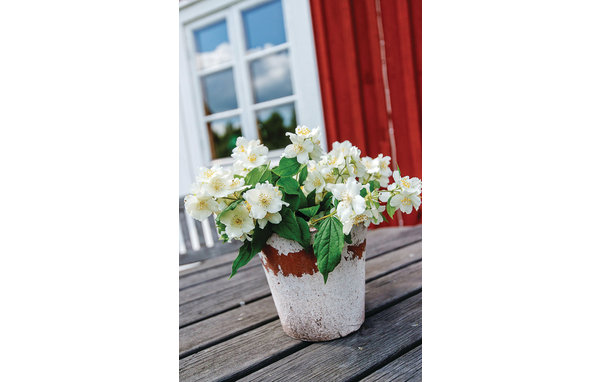 Ferienhaus 