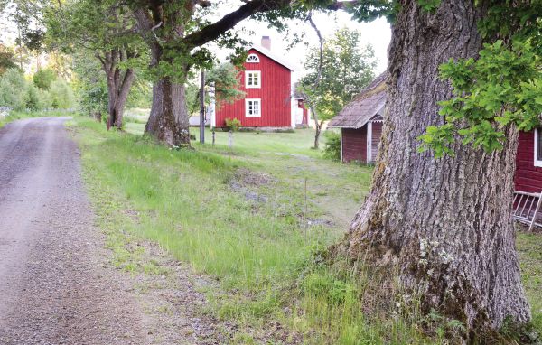 Ferienhaus - Axaryd , Schweden - S05004 901