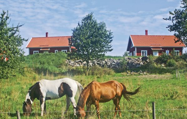 Feriebolig 