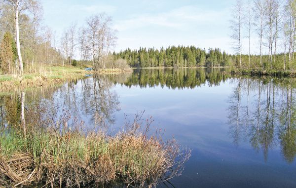 Ferienhaus - Sävsjö , Schweden - S05506 901