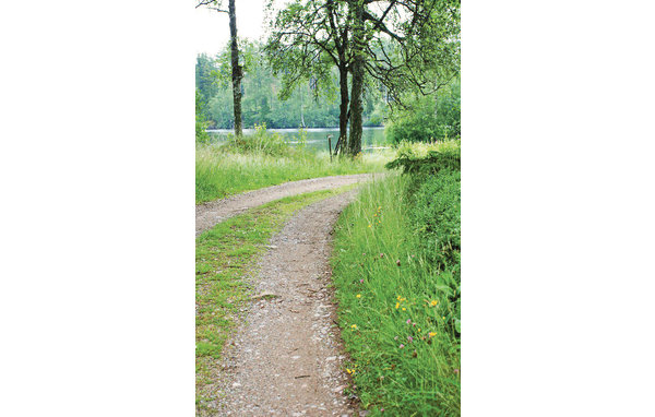 Ferienhaus - Sävsjö , Schweden - S05506 904