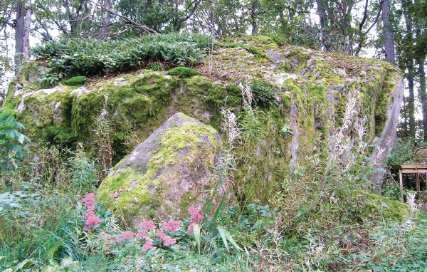 Semesterhus - Grimslöv , Sverige - S05629 901