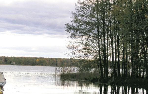 Semesterhus - Grimslöv , Sverige - S05629 902