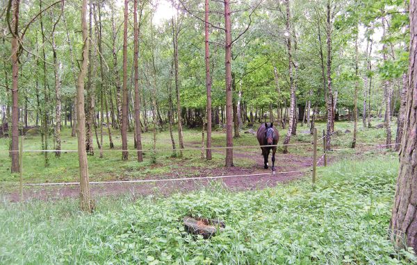 Semesterhus - Torsås/Söderåkra , Sverige - S06045 901