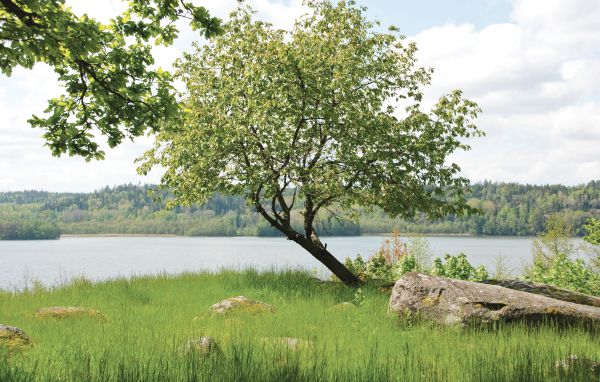 Ferienhaus - Gamleby , Schweden - S06388 902