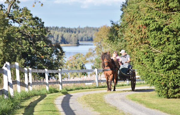 Ferienhaus - Baggekulla/Lönnern , Schweden - S07172 907
