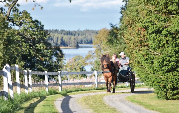 Ferienhaus - Baggekulla/Lönnern , Schweden - S07233 903