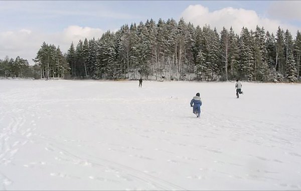 Ferienhaus - Holsljunga , Schweden - S07580 901