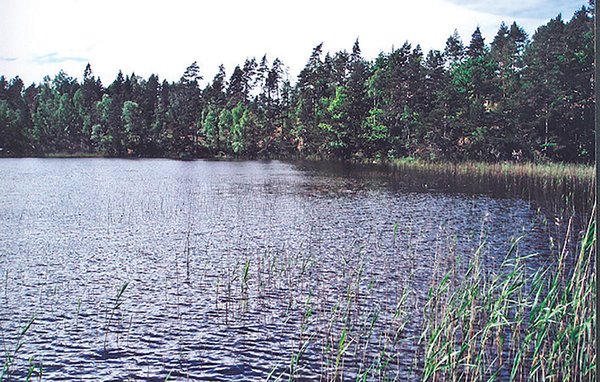 Vakantiehuis 