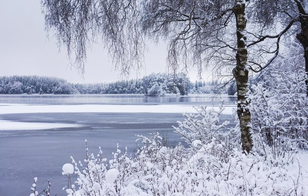 Ferienhaus - Gällstad , Schweden - S07815 907
