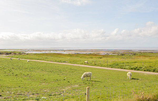 Feriehuse - Højer , Danmark - S10034 903