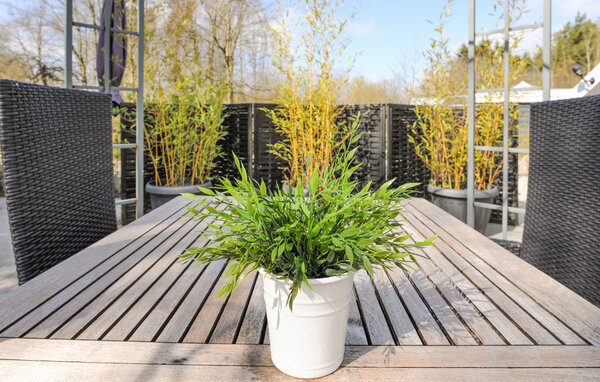 Casa vacanze - Arrild Ferieby , Danimarca - S10050 102