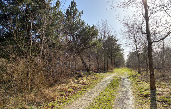 Ferienhaus - Rejsby , Dänemark - S10065 901