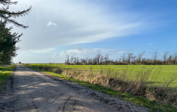 Ferienhaus - Rejsby , Dänemark - S10065 902