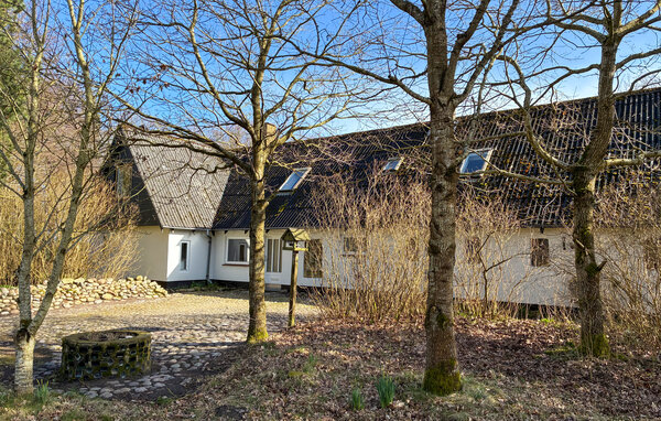 Ferienhaus - Rejsby , Dänemark - S10065 104