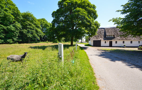 Semesterhus - Agerskov , Danmark - S10108 105