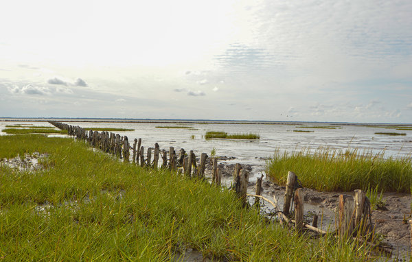 Semesterhus - Højer , Danmark - S10109 901