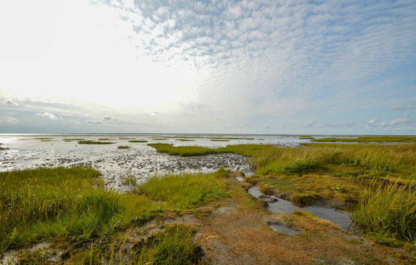 Semesterhus - Højer , Danmark - S10109 902