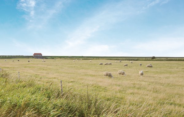 Feriebolig 