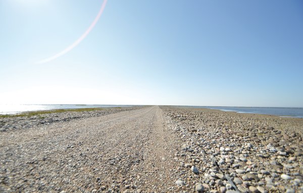 Feriehuse - Mandø , Danmark - S10340 903