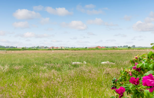 Feriehuse - Mandø , Danmark - S10340 9