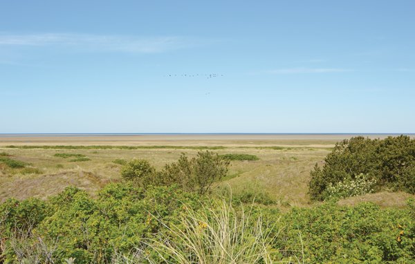 Vakantiehuis - Mandø , Denemarken - S10343 904