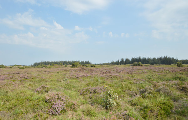 Feriebolig 