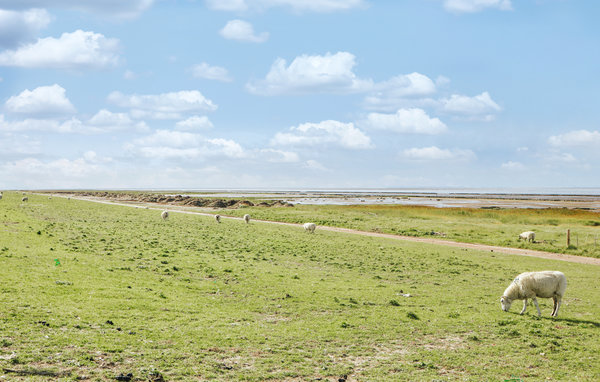 Feriehuse - Tønder , Danmark - S10358 904