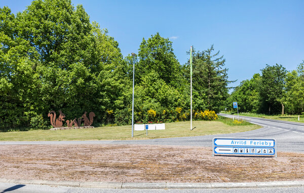 Ferienhaus - Arrild Ferieby , Dänemark - S10396 908