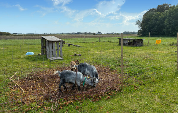 Feriehuse - Højer , Danmark - S10404 801