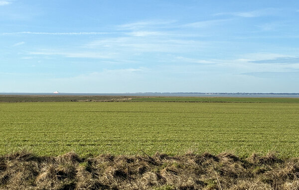 Feriehus - Ballum , Danmark - S10408 201