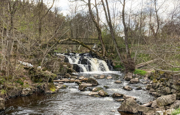 Location de vacances - Åkaröd/Brösarp , Suède - S11088 906