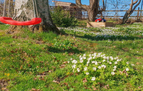 Feriehuse - Sjöbo/Blentarp , Sverige - S11156 103