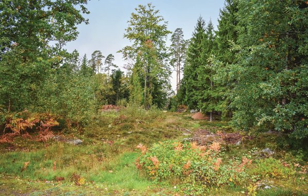 Ferienhaus - Boalt/Vittsjö , Schweden - S11312 103