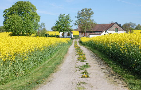 Vakantiehuis - Vollsjö , Zweden - S11621 1